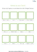 Vorschau - Arbeitsblätter - Insekten und ander kleine Tierchen - Klettmappe, Arbeitsblätter - Seite 3