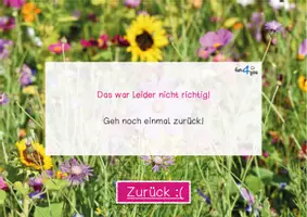 Vorschau - Interaktives Material - Insekten und andere kleine Tierchen - interaktives PDF - Seite 3