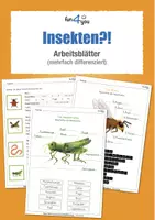 Vorschau - Arbeitsblätter - Insekten und andere kleine Tierchen - Arbeitsblätter - Deckblatt