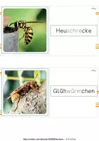 Vorschau - Spiele - Insekten und andere kleine Tierchen - Domino - Seite 2
