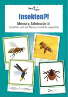 Vorschau - Spiele - Insekten und andere kleine Tierchen - Memory, Tafelmaterial - Deckblatt