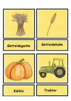 Vista previa - Juegos / Gamificación - Imagen y tarjetas de palabra / Bild- Wortzuordnung Bauernhof - página 2