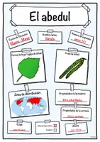 Vista previa - Hojas de trabajo - Ficha de abedul (Árbol/árboles) - Portada