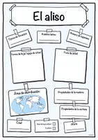 Vista previa - Hojas de trabajo - Ficha de aliso (Árbol/árboles) - página 1