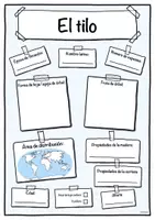 Vista previa - Hojas de trabajo - Ficha de tilo (Árbol/árboles) - página 1