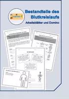 Vorschau - Arbeitsblätter - Herz und Blutkreislauf - Seite 1