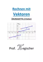 Vorschau - Arbeitsblätter - Übungszettel: Rechnen mit Vektoren (mit Lösungen) - Deckblatt