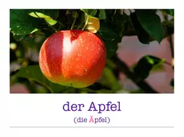 Vorschau - Arbeitsblätter - Obst + Gemüse Materialpaket - Seite 3