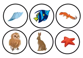 Vista previa - Juegos / Gamificación - Tazos de Reinos de animales - página 3