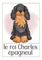 Vorschau - Bildkarten - CHIENS Französisch Bild- und Wortkarten - Seite 3