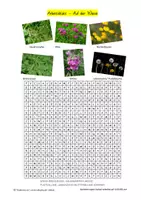 Vorschau - Arbeitsblätter - Suchsel/ Rätsel zum Thema "Wiesenpflanzen", Klasse 5-7 - Klimamaterial - - Seite 1