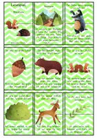 Vorschau - Spiele - Lesespiel - Waldtiere (ab 2. Klasse) - Deckblatt