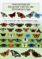 Vorschau - Arbeitsblätter - Übersichtsblatt - Die große Vielfalt der Schmetterlinge - Deckblatt
