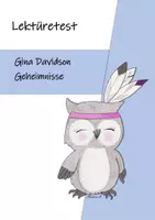 Vorschau - Test - Lektüretest: Gina Davidson - Geheimnisse - Deckblatt