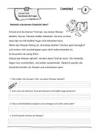 Vorschau - Stationenlernen - Leseverstehen Klasse 2 - Lesekartei Sommer - Sachtexte Klasse 2/3 - 10 Lesetexte mit Fragen zum Leseverständnis - Leseverständnis - Arbeitsblätter mit Lösung - Freiarbeitskartei Deutsch - Seite 3