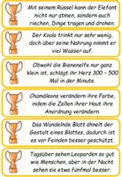 Vorschau - Arbeitsblätter - Deutsch: Konjunktionen und Nebensätze - Übungskarten - Seite 2