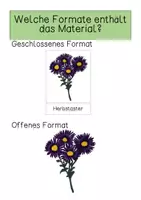 Vorschau - Präsentationen/Tafelbilder - Tafelmaterial - Bestäuberfreundliche Pflanzen - Seite 1