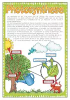 Vorschau - Arbeitsblätter - Photosynthese - AB, Infotext & PowerPoint-Präsentation #edukilights22 - Seite 2