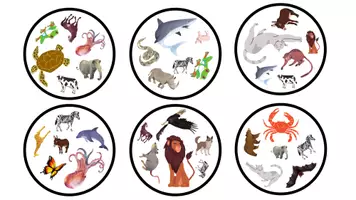 Vista previa - Juegos / Gamificación - GAME: What animal do we have in common? (Animals) - página 1