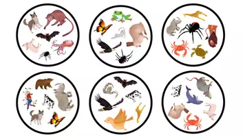 Vista previa - Juegos / Gamificación - GAME: What animal do we have in common? (Animals) - página 2