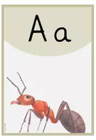 Vorschau - Poster - Anlautposter - Anlautplakate - Buchstabenschilder - Seite 3