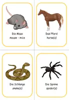Vorschau - Bildkarten - Ringwörterbuch Englisch pets (Wort-Bild) - Seite 2