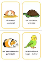 Vorschau - Bildkarten - Ringwörterbuch Englisch pets (Wort-Bild) - Seite 3