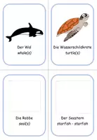 Vorschau - Bildkarten - Ringwörterbuch Englisch Wassertiere (Wort-Bild) - Seite 2