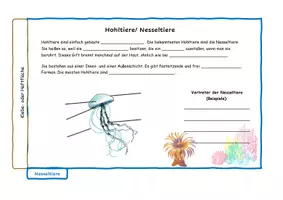 Vorschau - Arbeitsblätter - Flipbook zu den wirbellosen Tieren - Seite 1