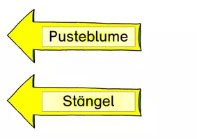 Vorschau - Arbeitsblätter - Löwenzahn - Forscherheft und Tafelmaterial - Seite 2