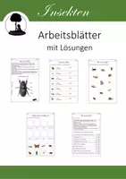 Vorschau - Arbeitsblätter - Insekten: Arbeitsblätter mit Fotos und Lösungen - Deckblatt
