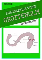 Vorschau - Stundenentwürfe - Lernpaket Grundschulmaterial Tropfsteinhöhle und Grottenolm - Seite 1