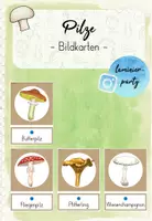 Vorschau - Bildkarten - Pilze: Bildkarten (Kl. 2) - Deckblatt