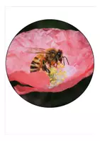 Vorschau - Mal- und Bastelvorlagen - Wimpel Schulanfang Bienenklasse - Seite 3