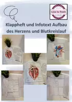 Vorschau - Arbeitsblätter - Klappheft und Infotext zum Aufbau des Herzens - Deckblatt