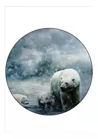 Vorschau - Anderer Materialtyp - Schulanfang Eisbärenklasse Wimpel - Seite 1
