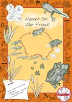 Vorschau - Präsentationen/Tafelbilder - Clipart – Set: “Der Frosch” - Von der Kaulquappe zum Frosch - Deckblatt