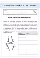 Vorschau - Arbeitsblätter - Biologie: Der Mensch - Gelenke - Deckblatt