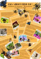 Vorschau - Bildkarten - Wissenskartei Bienen und Hummeln - Deckblatt