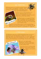 Vorschau - Bildkarten - Wissenskartei Bienen und Hummeln - Seite 3