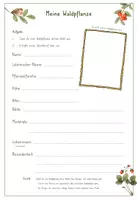 Vorschau - Arbeitsblätter - Meine Waldpflanze - Einen Steckbrief erstellen - Seite 2