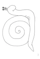 Vorschau - Mal- und Bastelvorlagen - Die Schnecke - Mal- und Bastelvorlagen - Seite 1