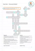 Vorschau - Spiele - Herz Anatomie - Kreuzworträtsel - Seite 2