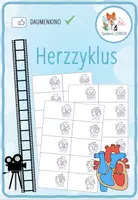 Vorschau - Spiele - Herzzyklus – Daumenkino - Deckblatt