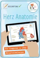 Vorschau - Arbeitsblätter - Beschrifte das Herz – digitale Übung für Computer & iPad - Deckblatt