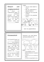Vorschau - Arbeitsblätter - LernbuchStockwerkbau - Seite 2