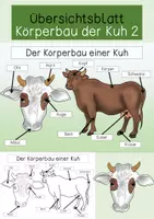 Vorschau - Arbeitsblätter - Übersichtsblatt - Der Körperbau einer Kuh 2 - Deckblatt