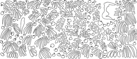 Vorschau - Mal- und Bastelvorlagen - Kunststunde: Künstlerreihe Herni Matisse - Seite 3