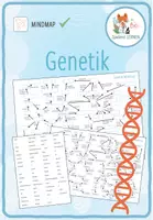 Vorschau - Spiele - Genetik - Mindmap - Deckblatt