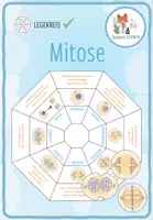 Vorschau - Stationenlernen - Mitose – Legekreis - Deckblatt
